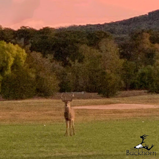 Golf Course «The Buckhorn Golf Course», reviews and photos, 36 FM 473, Comfort, TX 78013, USA