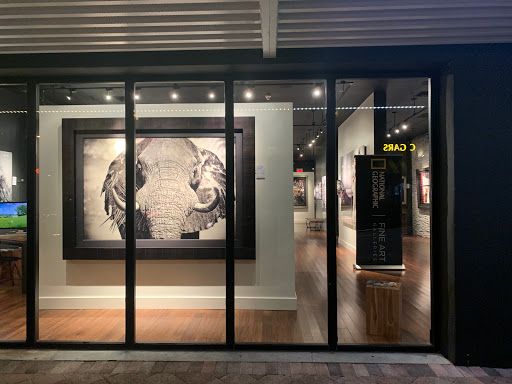 Art Gallery «National Geographic | Fine Art Galleries», reviews and photos, 607 E Las Olas Blvd, Fort Lauderdale, FL 33301, USA