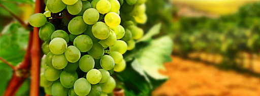 Liquor Store «Omega Wines & Liquors», reviews and photos, 23-18 31st St, Queens, NY 11105, USA