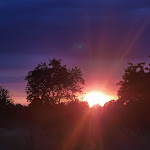 Photo n°2 de l'avis de Torsten.a fait le 29/06/2023 à 16:25 sur le  SVG Autohof-Gotha à Schwabhausen