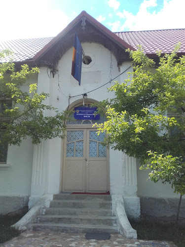 Grădinița cu Program Normal Sulța - Grădiniță