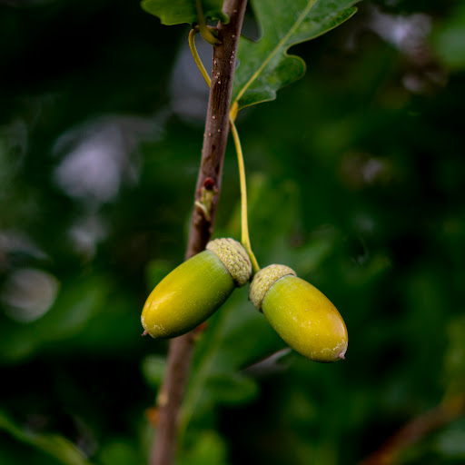 Park «Aqua Vista Park», reviews and photos, 18700 E Wagon Trail Cir, Aurora, CO 80015, USA