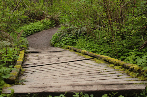 Capehart Forest