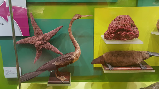 Science Museum «Kentucky Science Center», reviews and photos, 727 W Main St, Louisville, KY 40202, USA