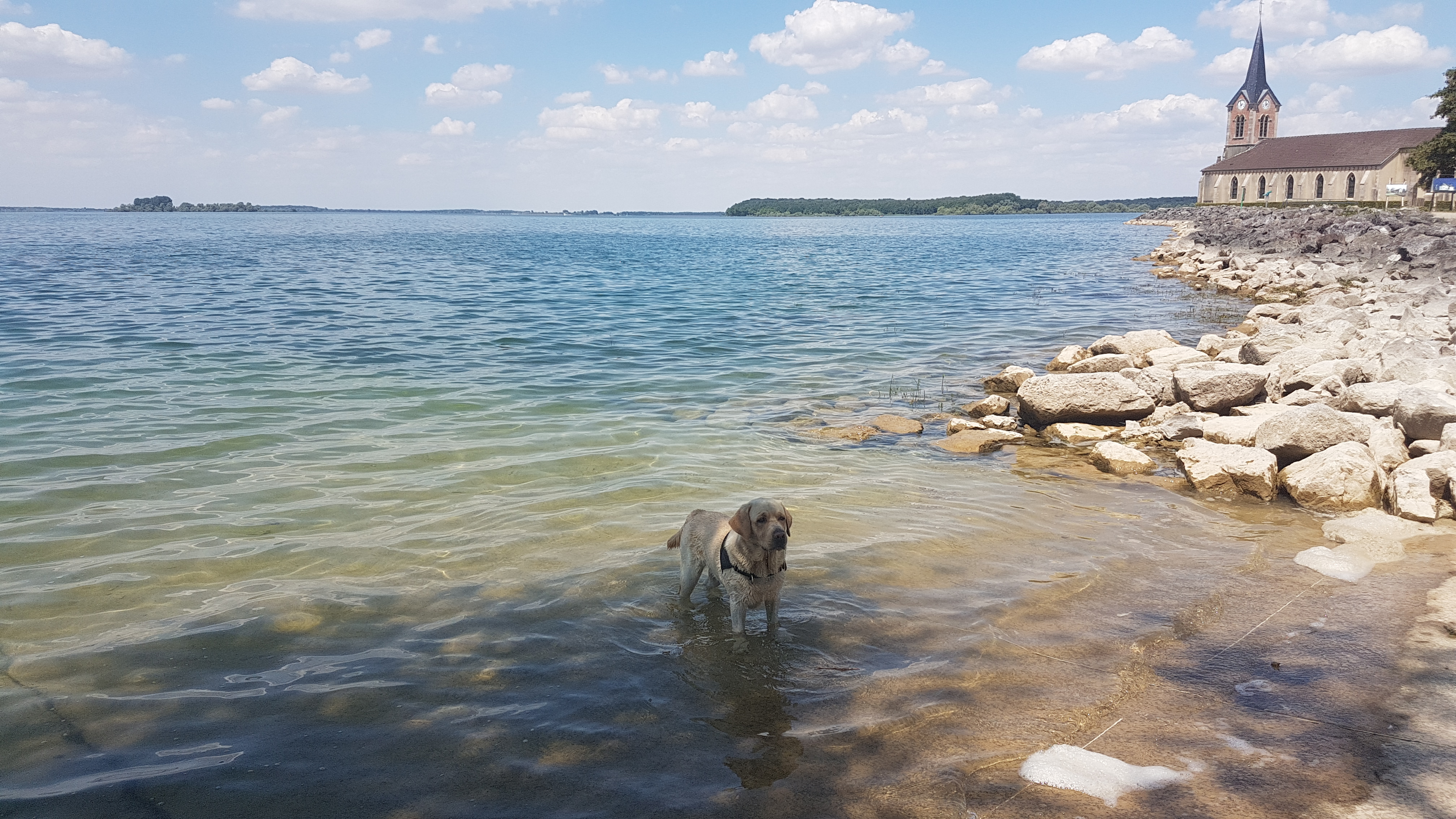 Photo n° 1 de l'avis de John.e fait le 18/07/2018 à 13:38