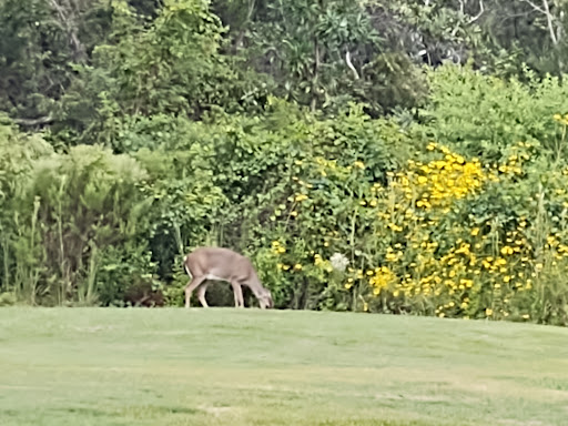 Golf Club «St. James Bay Golf Club», reviews and photos, 151 Laughing Gull Ln, Carrabelle, FL 32322, USA