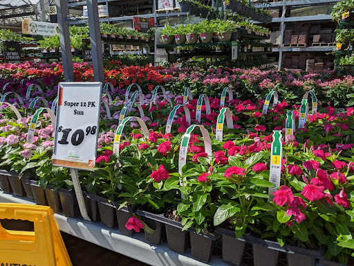 Home Improvement Store «The Home Depot», reviews and photos, 8334 Tamarack Village, Woodbury, MN 55125, USA