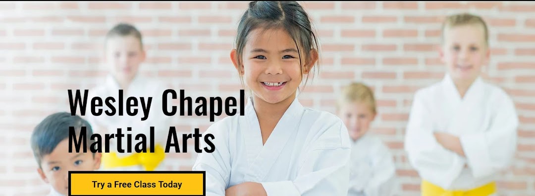 Wesley Chapel Martial Arts