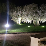 Photo n°2 de l'avis de Antonio.o fait le 07/09/2022 à 09:00 sur le  Le Querce di Mamre à Foggia