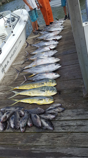 Prawn fishing Chesapeake