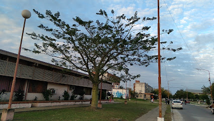 Centro De Desarrollo Infantil Rayito De Luz