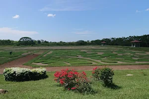 Dry Zone Botanic Gardens, Hambantota image