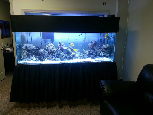Aquarium Shop «Artistic Aquatics», reviews and photos, 1035 Forest View Dr N, Ellettsville, IN 47429, USA