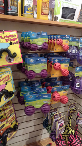 Pet Store «Pups of Lewes», reviews and photos, 117 2nd St, Lewes, DE 19958, USA