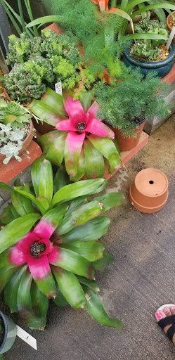 Hardware Store «Proctor Ace Hardware», reviews and photos, 5723 University Blvd W, Jacksonville, FL 32216, USA