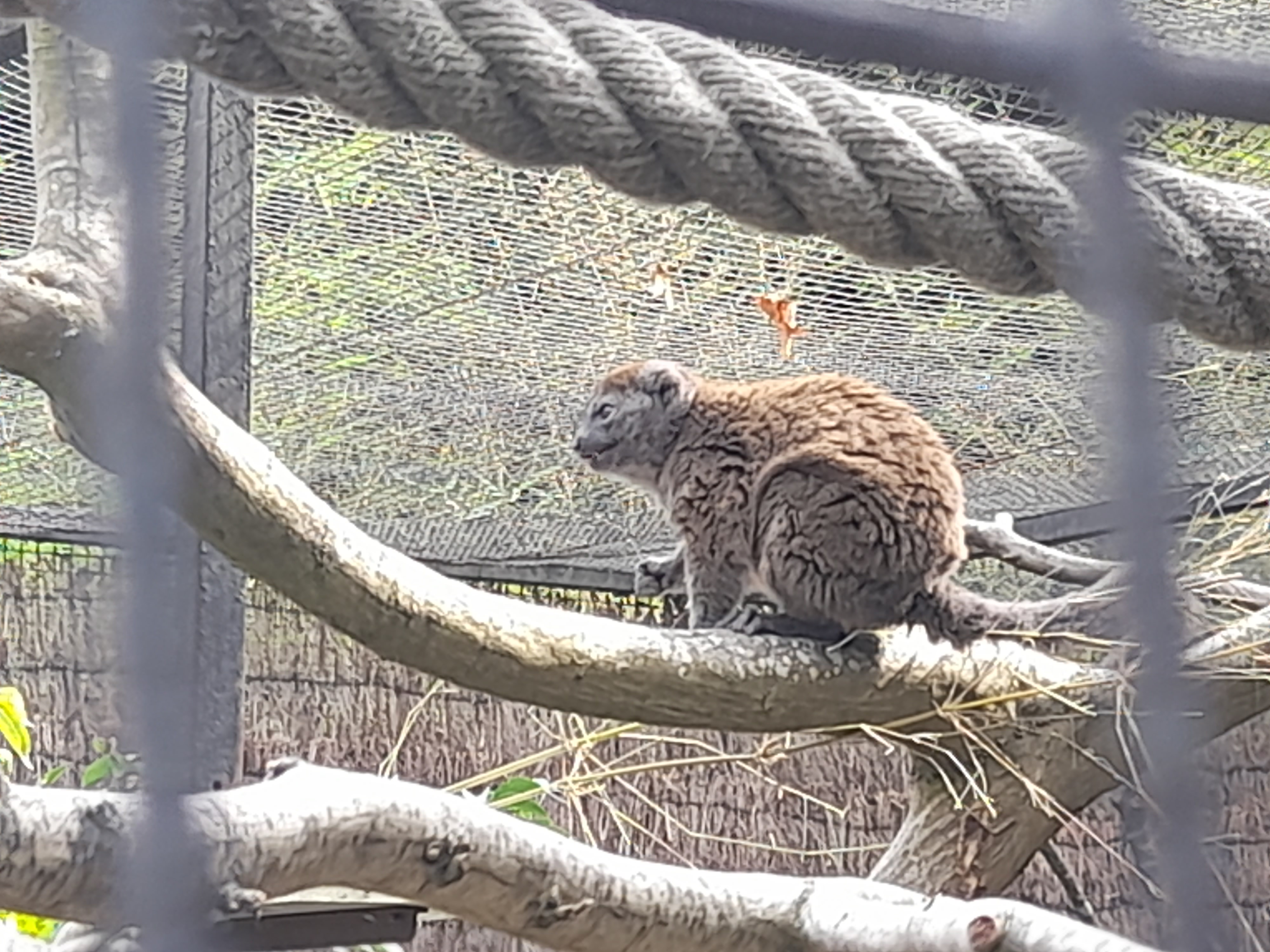 Photo n° 5 de l'avis de pauline.o fait le 15/08/2022 à 18:00
