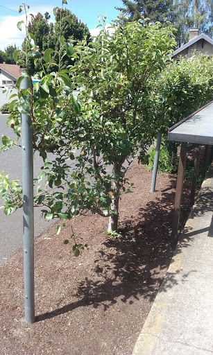 Steak House «Laurelhurst Market», reviews and photos, 3155 E Burnside St, Portland, OR 97214, USA