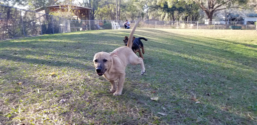 Park «Lutz Dog Park», reviews and photos, 122 1st Ave SW, Lutz, FL 33548, USA