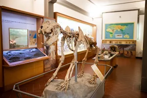 Museo Civico di Paleontologia image