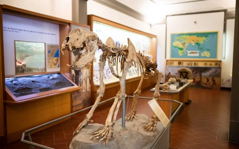 Museo Civico di Paleontologia image