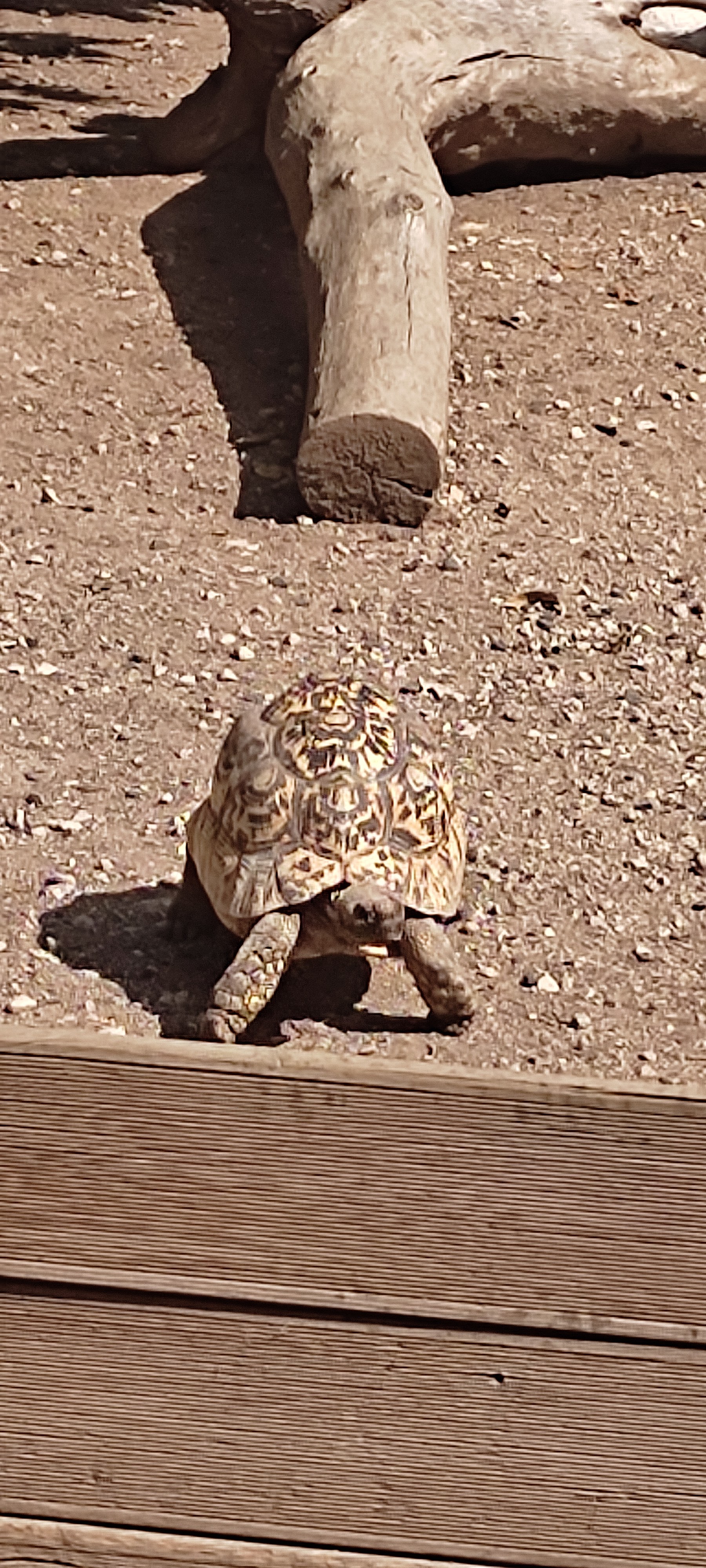 Photo n° 13 de l'avis de Astrid.i fait le 17/09/2021 à 13:14