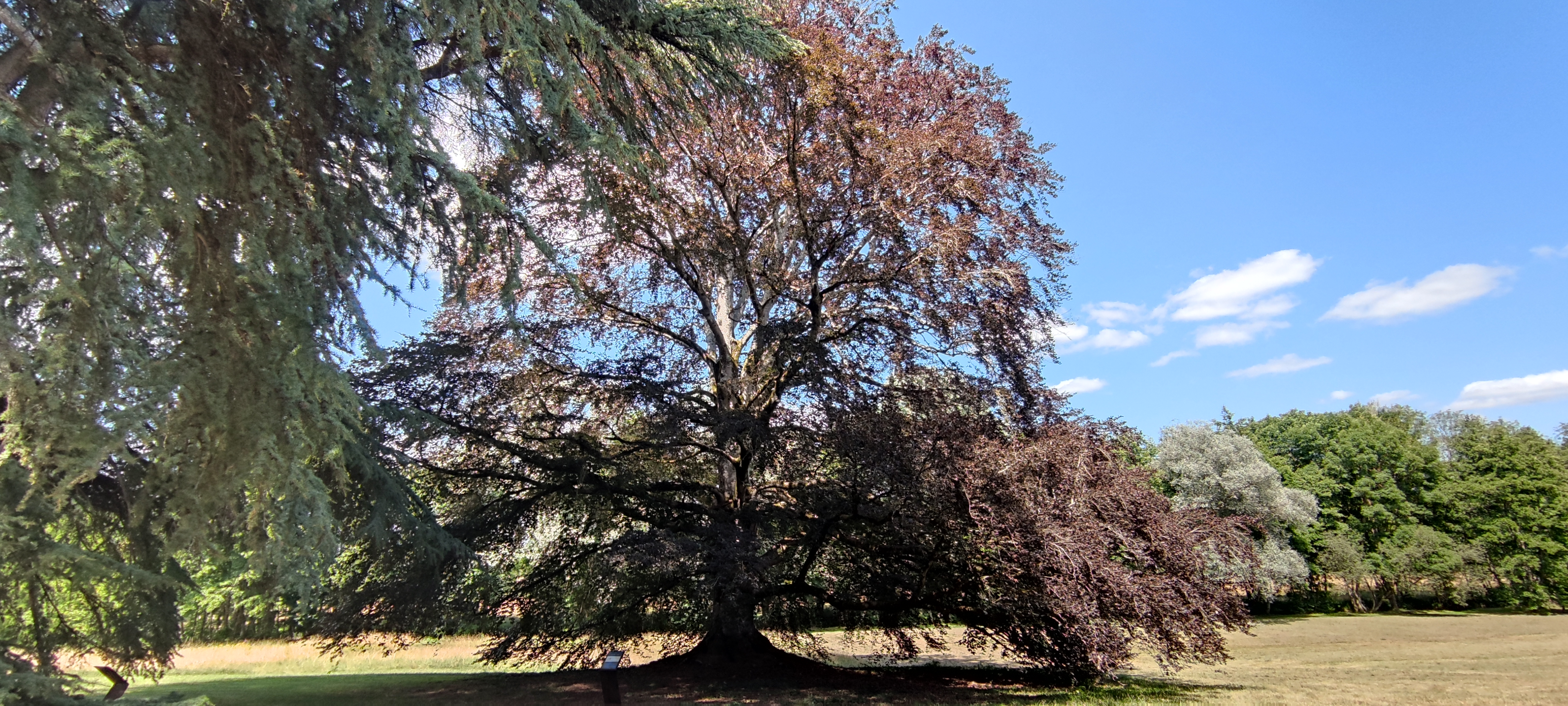 Photo n° 10 de l'avis de Bérengère.H fait le 13/07/2023 à 16:21
