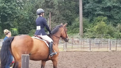 Horse riding lessons Portland