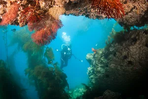 Dive Santa Barbara image