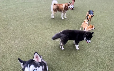 Atlantic Station Dog Park image