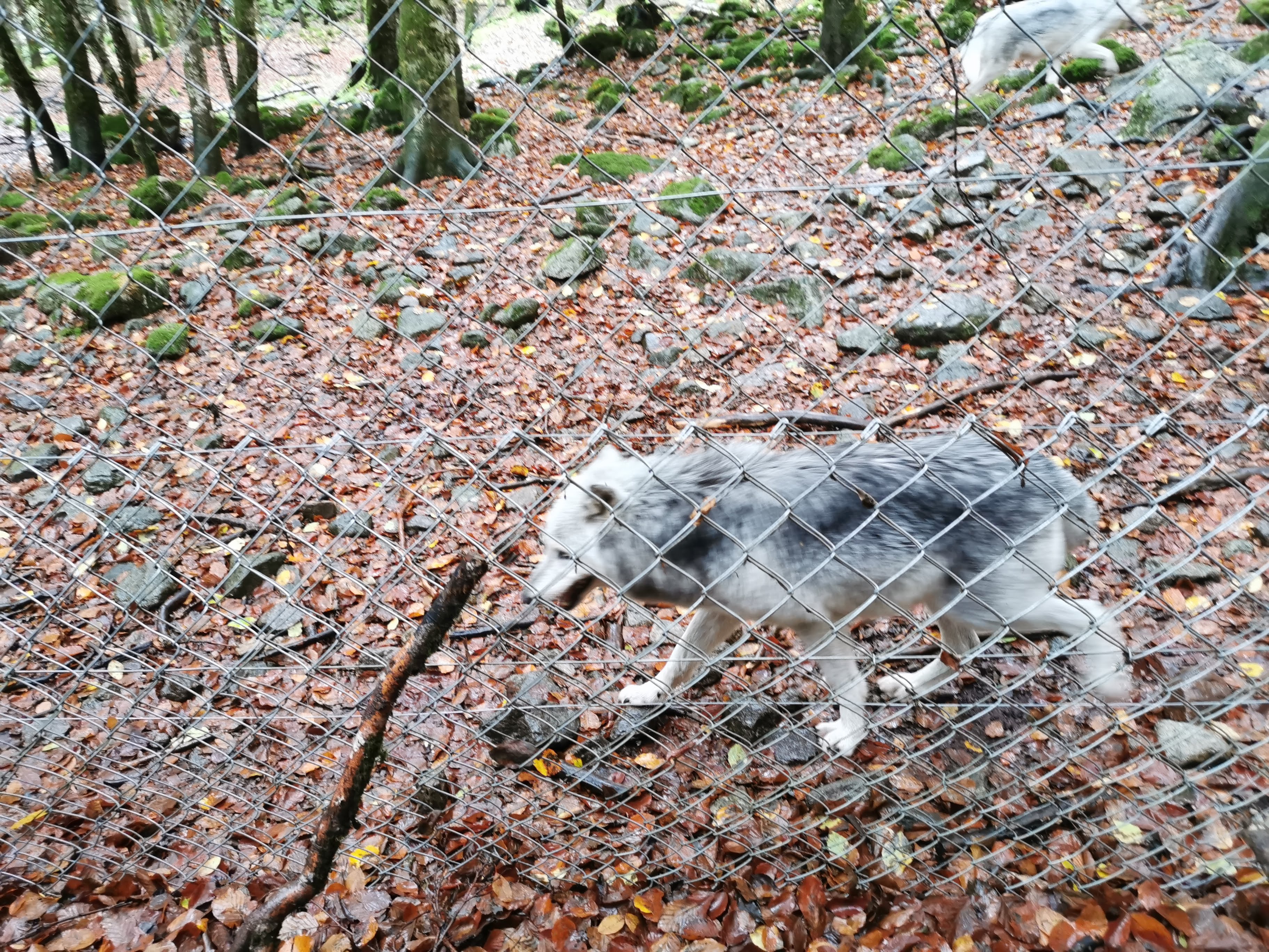 Photo n° 1 de l'avis de sandrine.e fait le 17/11/2019 à 11:04