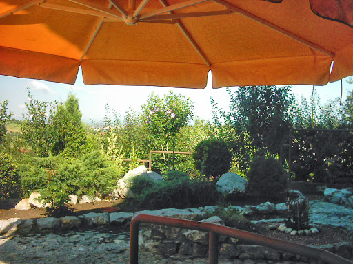 Big Bear Alpine Zoo image