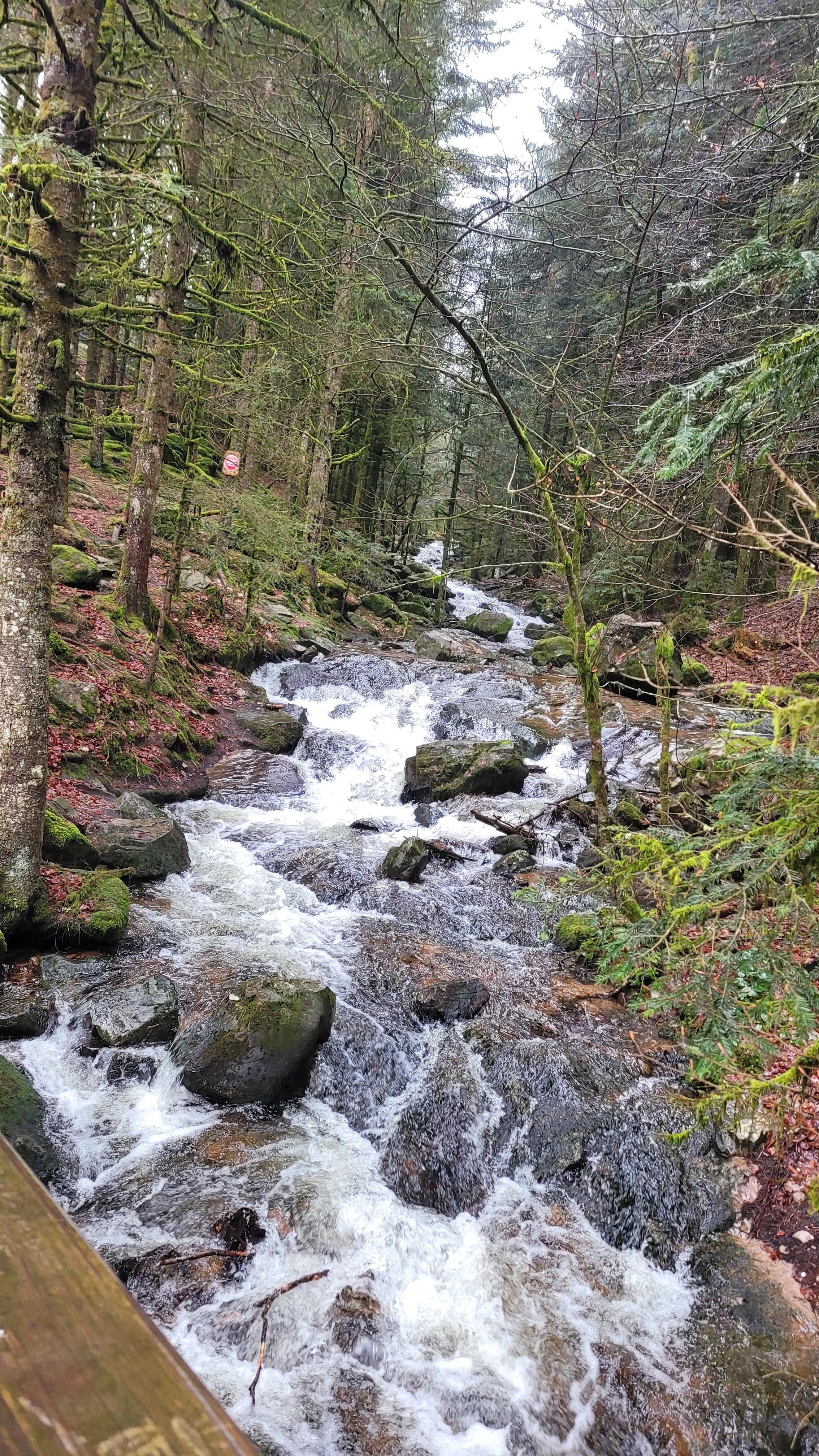 Photo n° 4 de l'avis de Julien.o fait le 27/12/2023 à 19:53