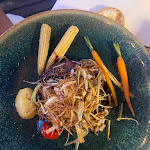 Photo n°1 de l'avis de DRIFTER. fait le 07/07/2023 à 15:42 sur le  Ristorante Dal Maestro à Donoratico