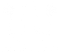 Yogaslinger - Photo 8 - Car repair in Reno, NV, Reno