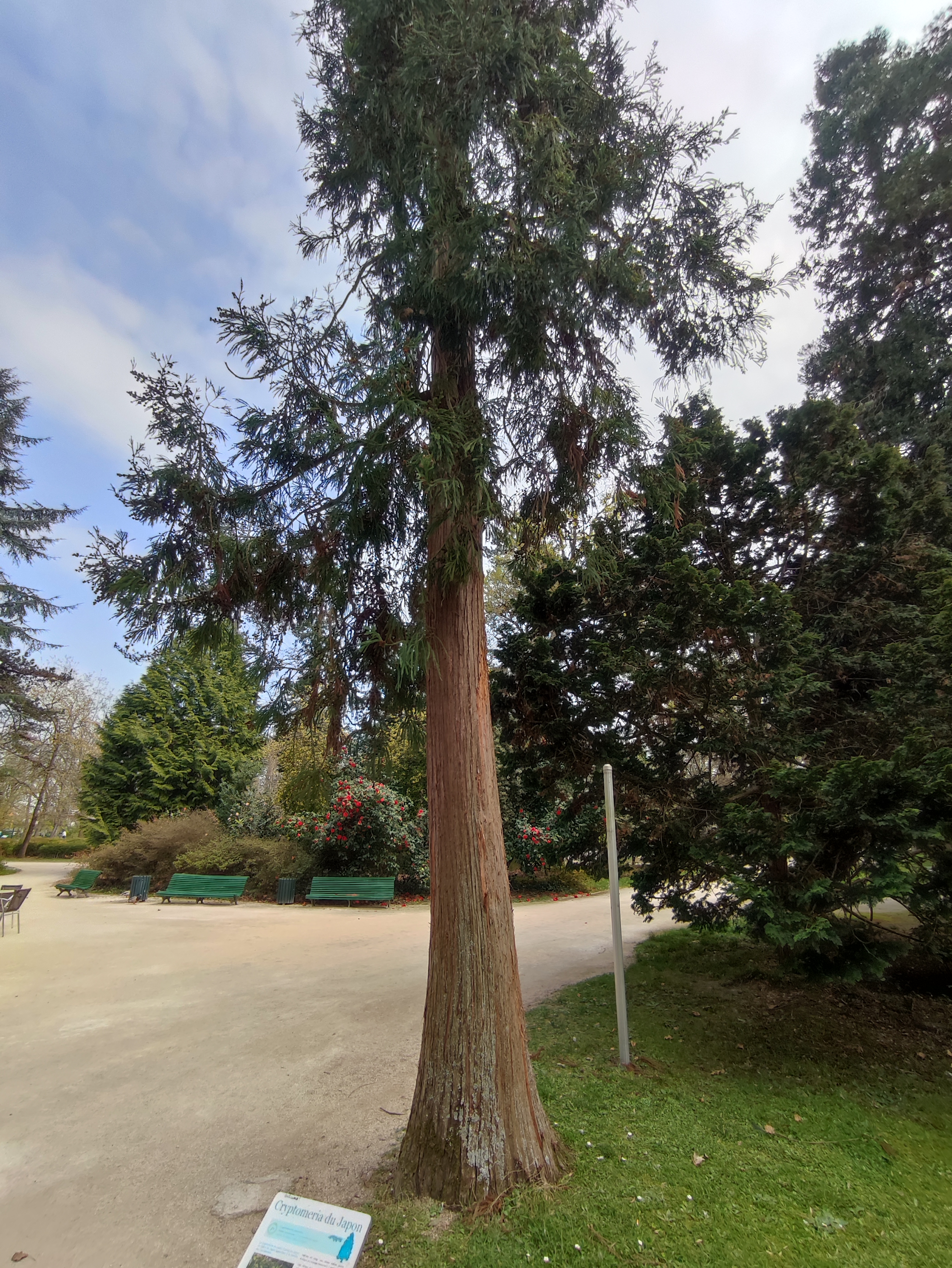 Photo n° 9 de l'avis de Romuald.a fait le 26/03/2022 à 13:27