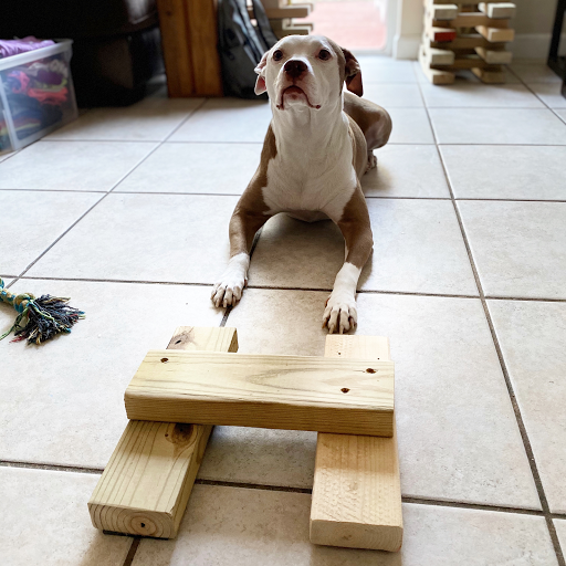 Gymnastics Center «Miami Freerunning Academy», reviews and photos, 8284 NW 66th St, Miami, FL 33166, USA