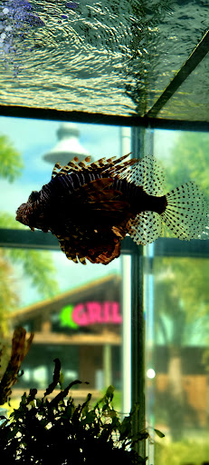 Marina «Sunrise Fish Dive Surf», reviews and photos, 505 Glen Cheek Dr, Port Canaveral, FL 32920, USA