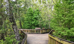 Sawgrass Lake Park