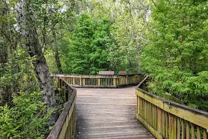 Sawgrass Lake Park image