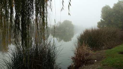SacWest RV Park & Campground image