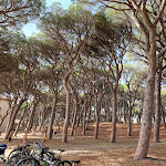 Photo n°4 de l'avis de franco.. fait le 07/07/2022 à 16:15 sur le  Hotel la Pineta à Follonica