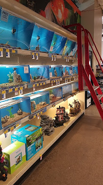 PetSmart - Photo 8 - Car repair in Torrance, CA, Long Beach