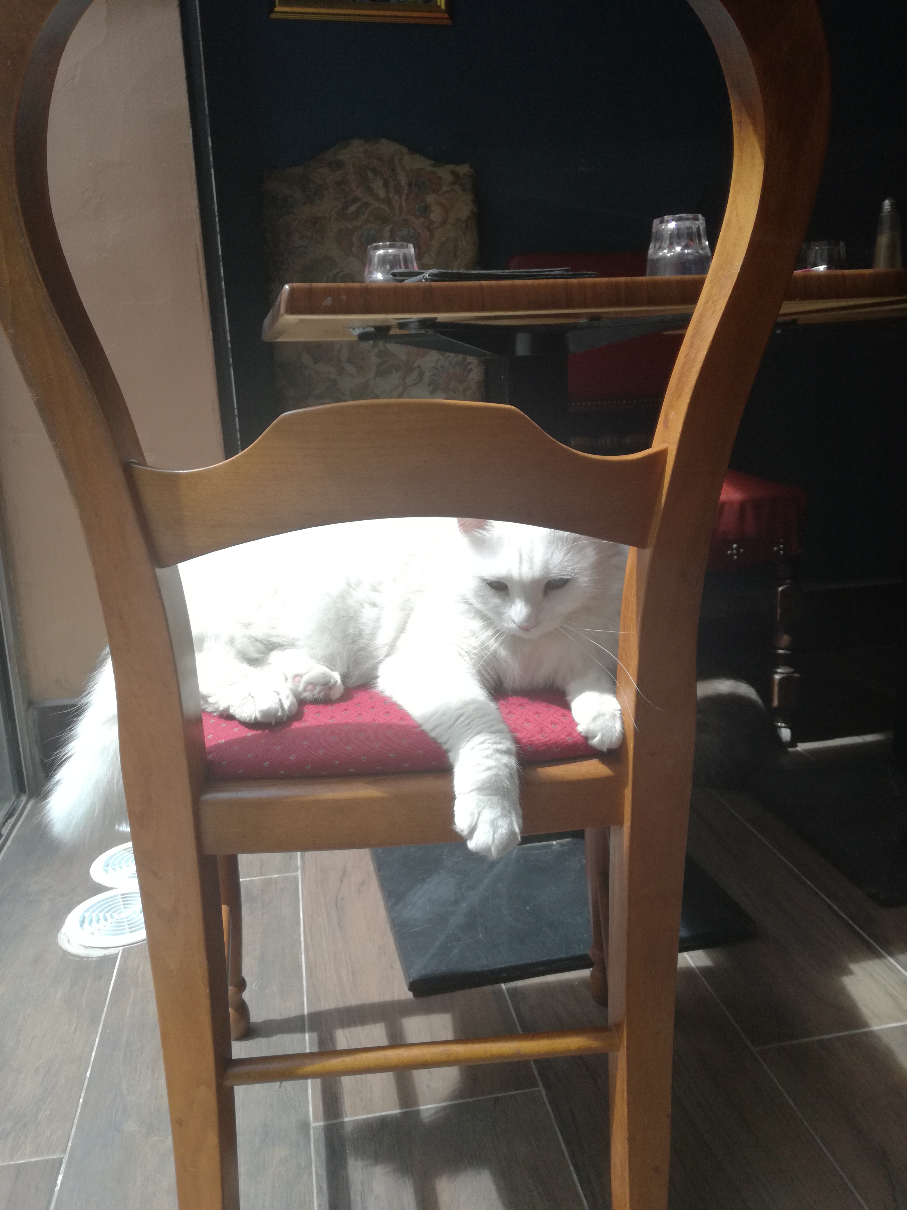 Photo n° 1 de l'avis de Mathou.r fait le 12/07/2019 à 07:27