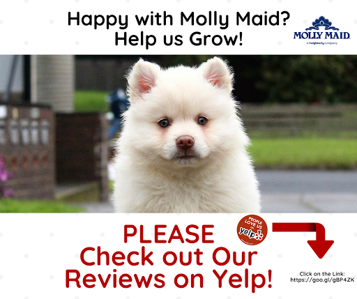 House Cleaning Service «MOLLY MAID of East Contra Costa and Solano Counties», reviews and photos, 2400 Sycamore Dr #21, Antioch, CA 94509, USA