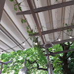 Photo n°14 de l'avis de Rosa.e fait le 16/05/2021 à 22:02 sur le  Ai Conti à Arco