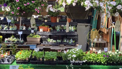 Florist «Sunshine Flowers», reviews and photos, 4509 Rainbow Blvd, Kansas City, KS 66103, USA