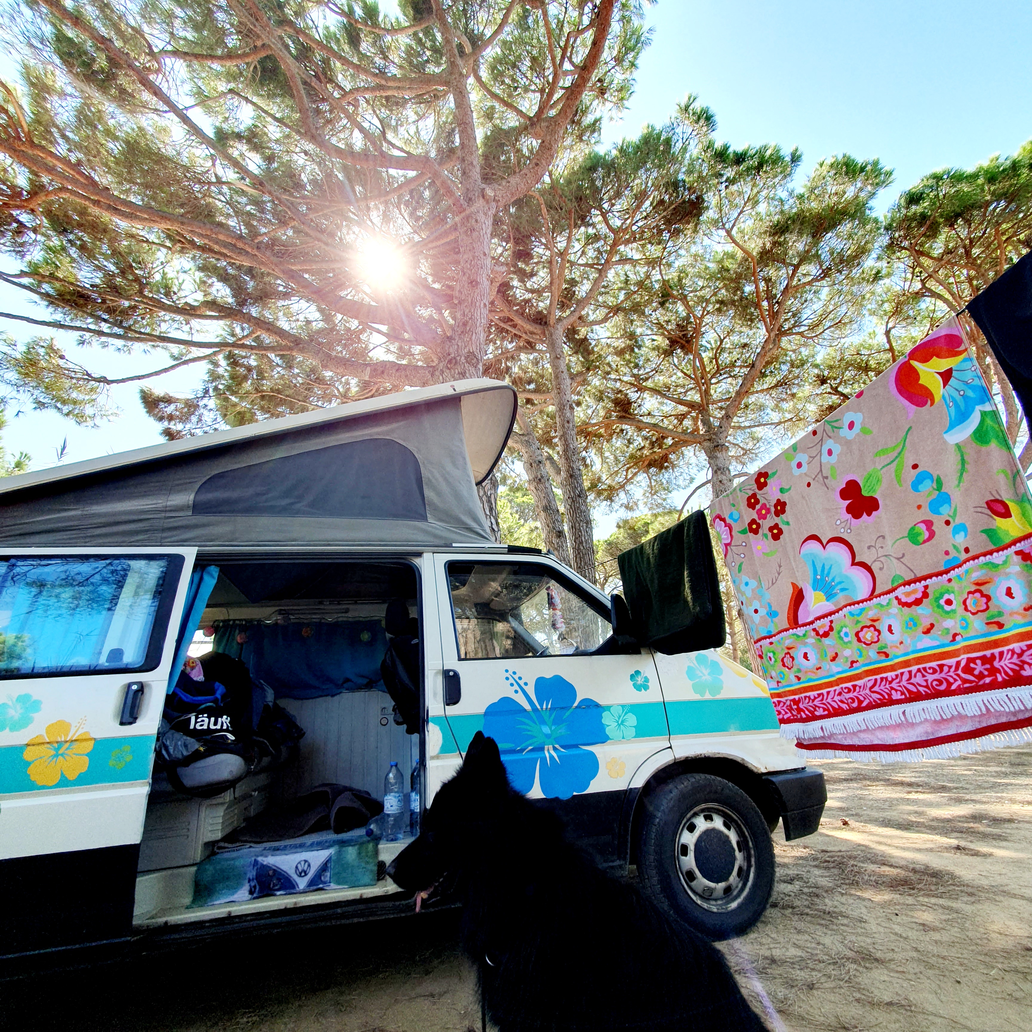 Photo n° 6 de l'avis de Martina.t fait le 03/10/2023 à 15:23