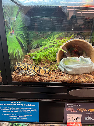 Pet Supply Store «PetSmart», reviews and photos, 1410 NE 23rd St, Pompano Beach, FL 33062, USA