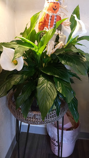 Florist «Gibby Floral & Greenhouse», reviews and photos, 1450 W Riverdale Rd, Riverdale, UT 84405, USA