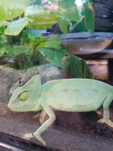 Pet Supply Store «Petco Animal Supplies», reviews and photos, 1574 N Dupont Hwy #300, Dover, DE 19901, USA